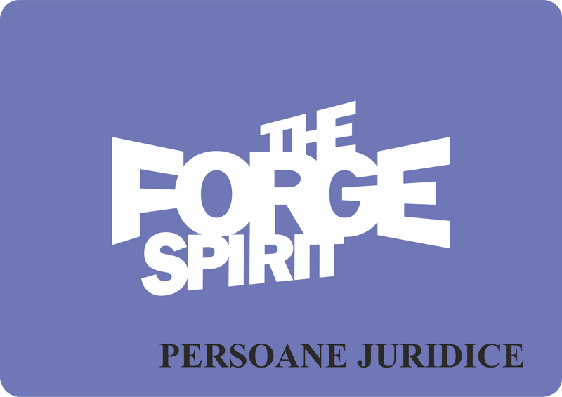 donatii the forge spirits pers juridice
