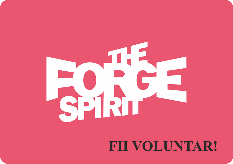 donatii the forge spirits voluntar